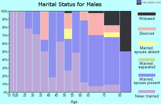 Zip code 04739 marital status for males