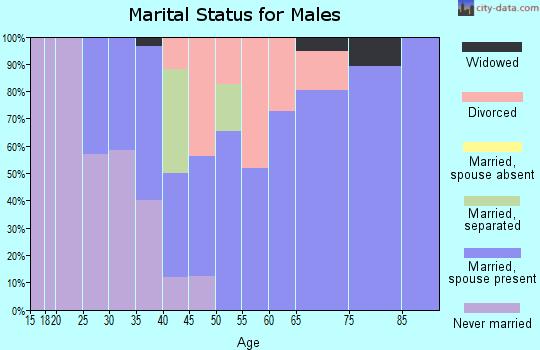 Zip code 04740 marital status for males