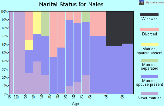 Zip code 04742 marital status for males