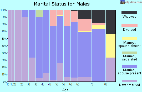 Zip code 04743 marital status for males