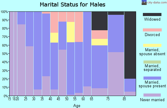 Zip code 04750 marital status for males