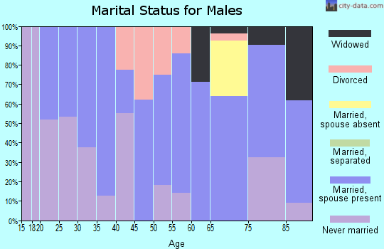 Zip code 04758 marital status for males