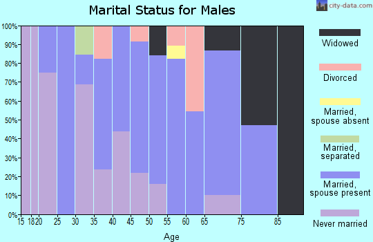 Zip code 04760 marital status for males