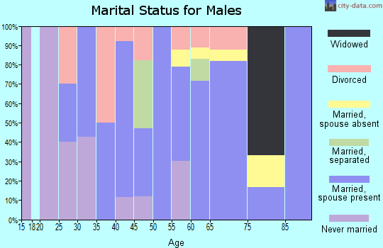 Zip code 04762 marital status for males