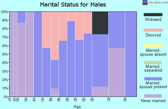 Zip code 04763 marital status for males