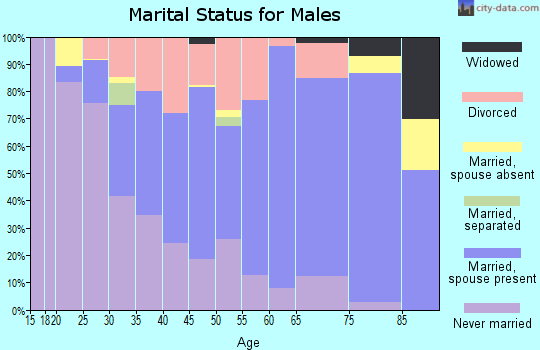 Zip code 04769 marital status for males