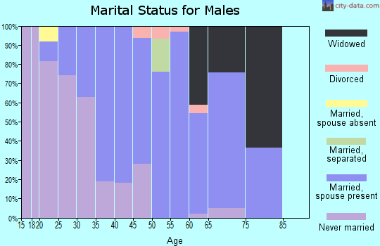 Zip code 04780 marital status for males