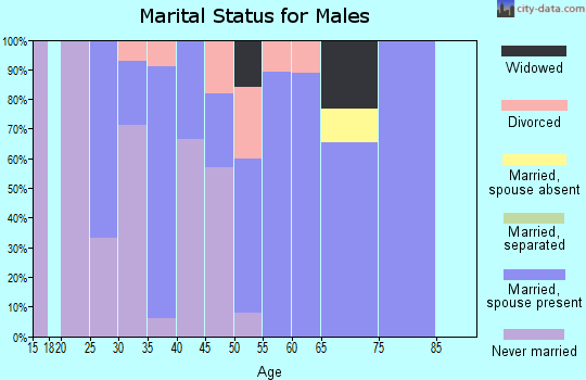Zip code 04787 marital status for males