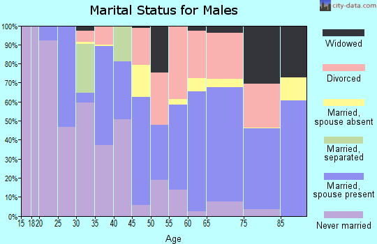 Zip code 04841 marital status for males