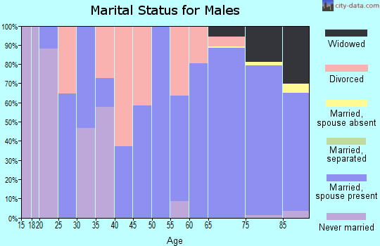 Zip code 04843 marital status for males