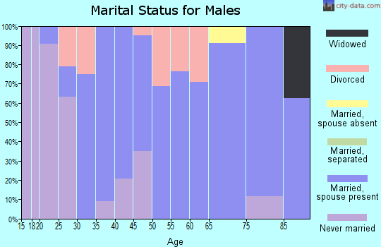 Zip code 04847 marital status for males