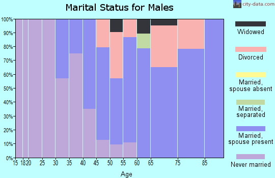 Zip code 04848 marital status for males
