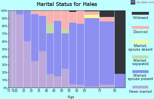Zip code 04849 marital status for males