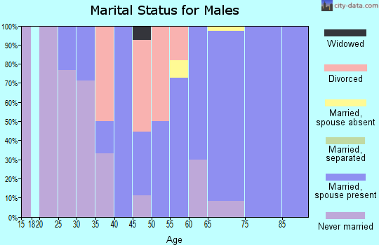 Zip code 04853 marital status for males