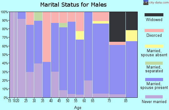 Zip code 04854 marital status for males