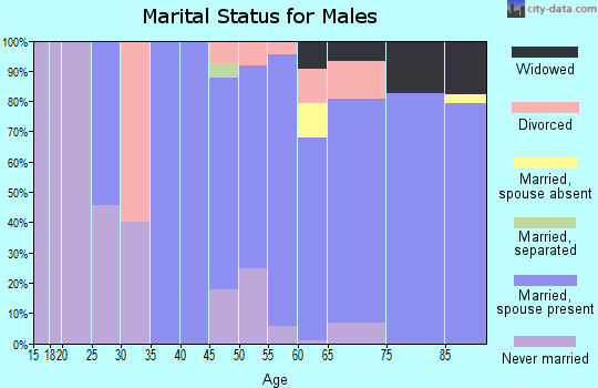 Zip code 04856 marital status for males