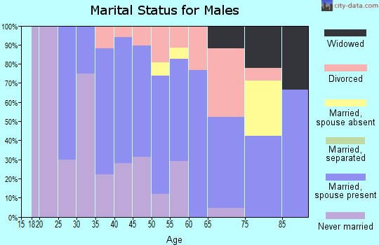 Zip code 04858 marital status for males