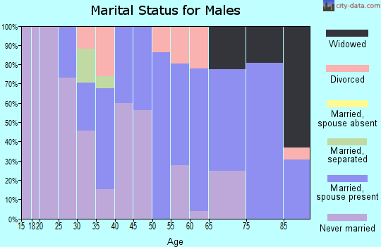 Zip code 04861 marital status for males