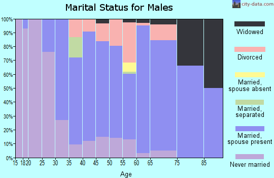 Zip code 04862 marital status for males