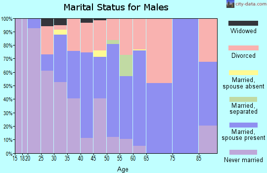 Zip code 04864 marital status for males