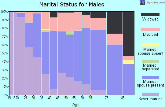 Zip code 04901 marital status for males