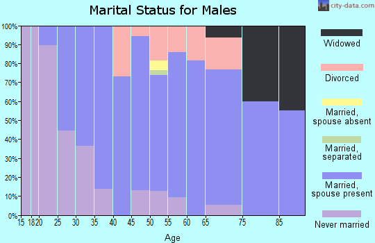 Zip code 04910 marital status for males