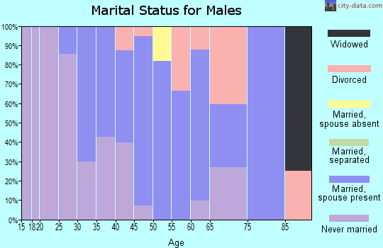 Zip code 04912 marital status for males
