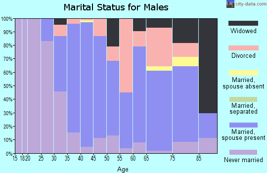 Zip code 04915 marital status for males