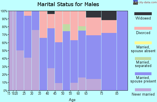 Zip code 04921 marital status for males