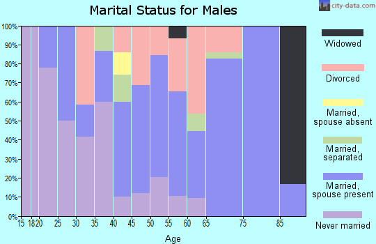 Zip code 04922 marital status for males