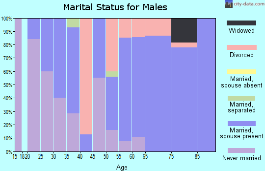 Zip code 04923 marital status for males