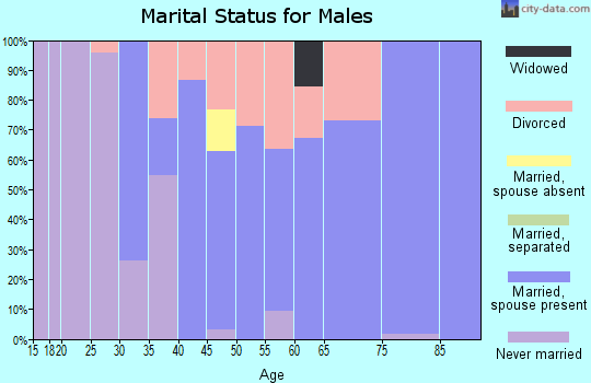 Zip code 04924 marital status for males