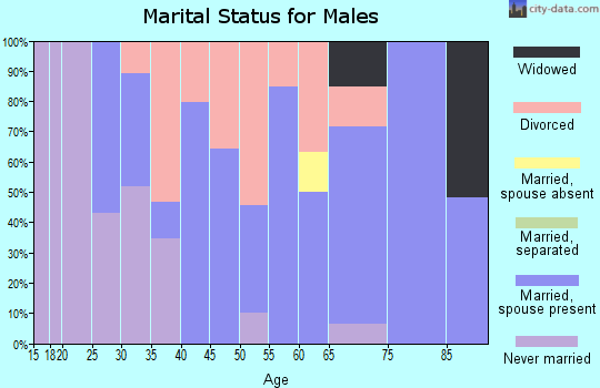 Zip code 04927 marital status for males