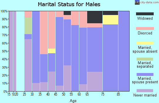 Zip code 04928 marital status for males