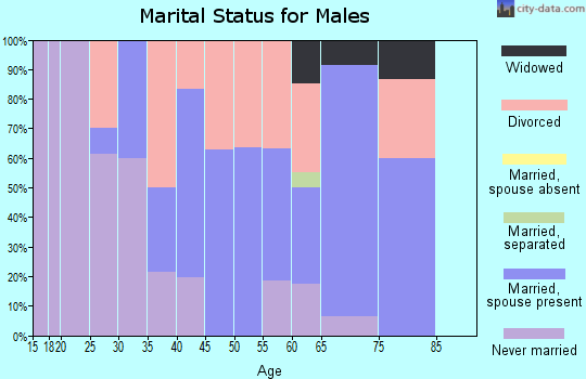 Zip code 04929 marital status for males