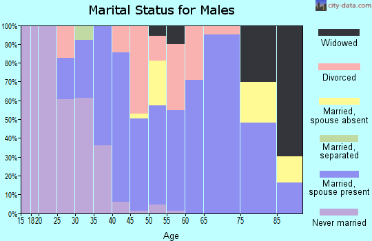 Zip code 04930 marital status for males