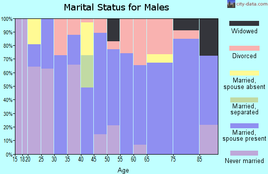 Zip code 04937 marital status for males