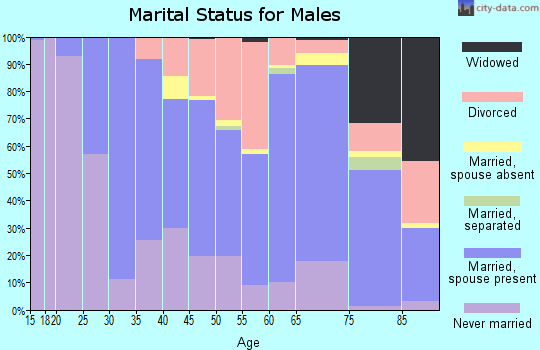 Zip code 04938 marital status for males