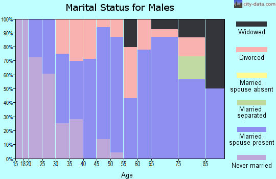 Zip code 04939 marital status for males