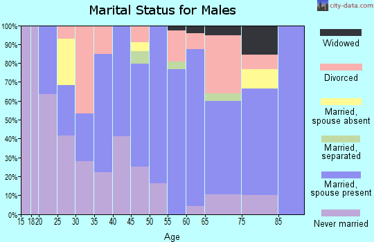Zip code 04941 marital status for males