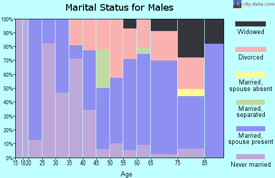 Zip code 04942 marital status for males