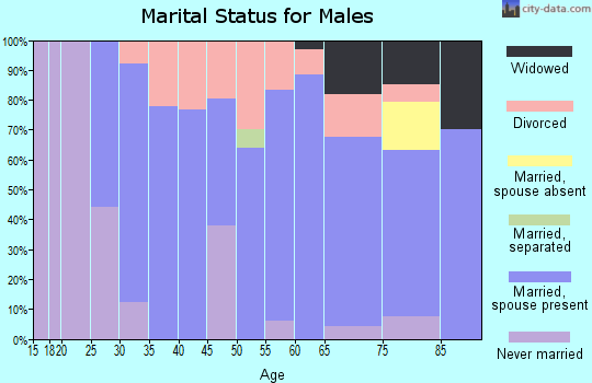 Zip code 04943 marital status for males