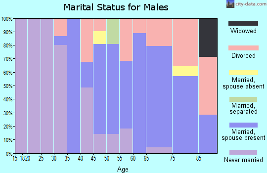 Zip code 04949 marital status for males
