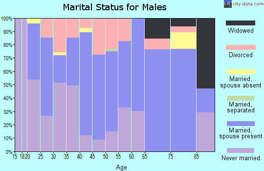 Zip code 04950 marital status for males