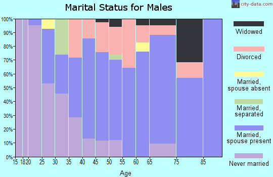 Zip code 04952 marital status for males