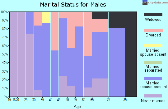 Zip code 04953 marital status for males