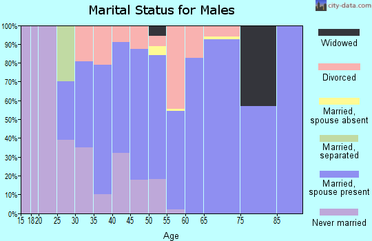 Zip code 04957 marital status for males