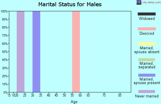 Zip code 04962 marital status for males