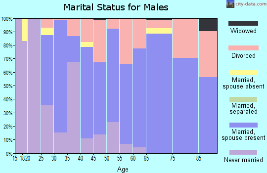 Zip code 04963 marital status for males