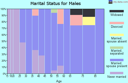 Zip code 04965 marital status for males